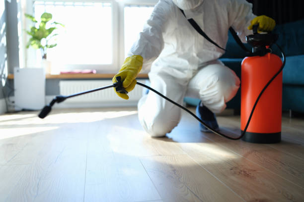 Reliable Hoarding Cleanup contractor in Atlanta, IL by Trauma Clean Pros